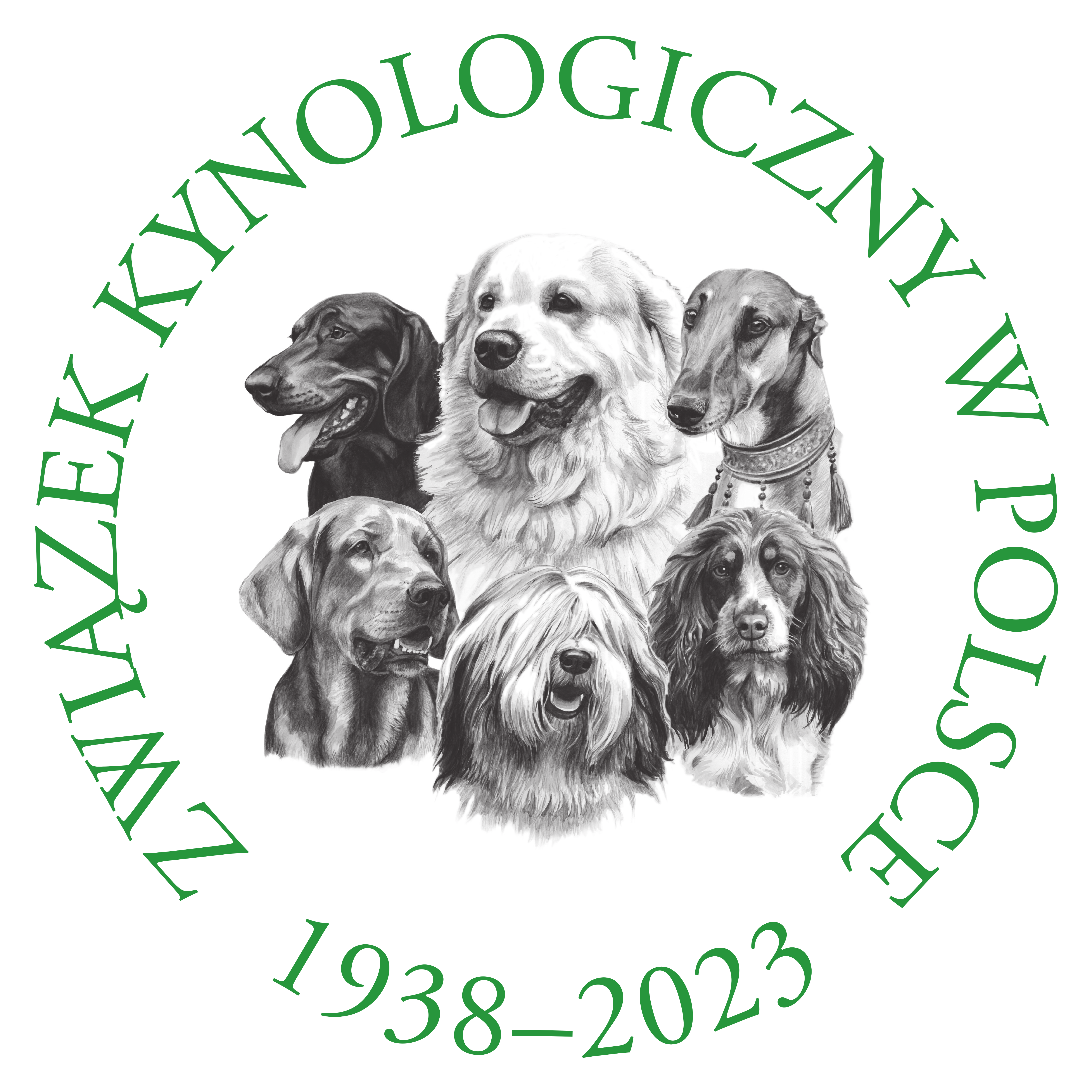 Serenczas FCI –  hodowla owczarek szetlandzki